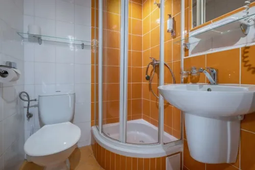 Kúpeľňa so sprchovým kútom v izbe Standard twin