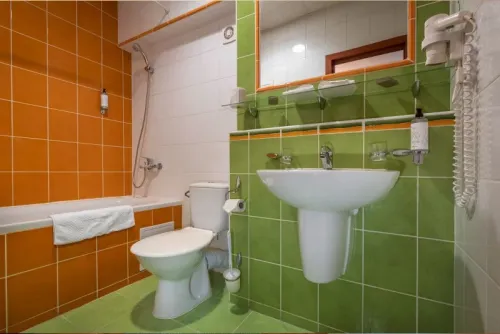 Kúpeľňa s vaňou v izbe Standard double